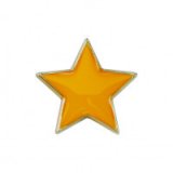 Scholar Pin Badge Star Yellow 20mm