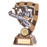 Karate Trophies