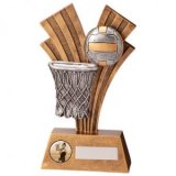 Netball Trophies