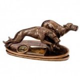 Greyhound Trophies