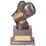 Boxing Trophies