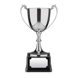 Advocate Award Cup 10" - SANC6C
