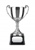C9 Endurance Awards On Heavyweight Bases Trophy 8.5" - C9D