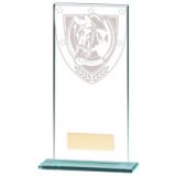 Millennium Equestrian Jade Glass Award 18CM 180MM - CR20375E