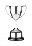 Silver Plated Trophy 8.25" - PAT3A