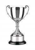 PC9 Endurance Awards on Bakelite Bases Trophy  15.5" - PC9J