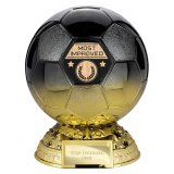 Elite Heavyweight Most Improved Award Carbon Black to Gold 185mm - PM25405C