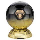 Elite Heavyweight Most Improved Award Carbon Black to Gold 205mm - PM25405D