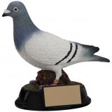 Elite Pigeon Award 16CM 160MM - RF4157A
