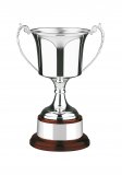 Hallmarked Silver Cup 9.5" - S1970A