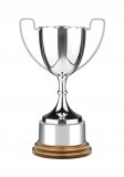 GWC5 Endurance Awards On Gold Finish Wooden Bases Trophy 14" - GWC5H
