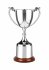 DWC6 Endurance Awards On Rosewood Finish Bases  Trophy 8.75" - DWC6E