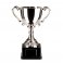 Canterbury Nickel Plated Cup Trophy 26.5CM 265MM-NP9128E