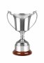 Celtic Mounted Prestige Cup 11.25" - CM496A